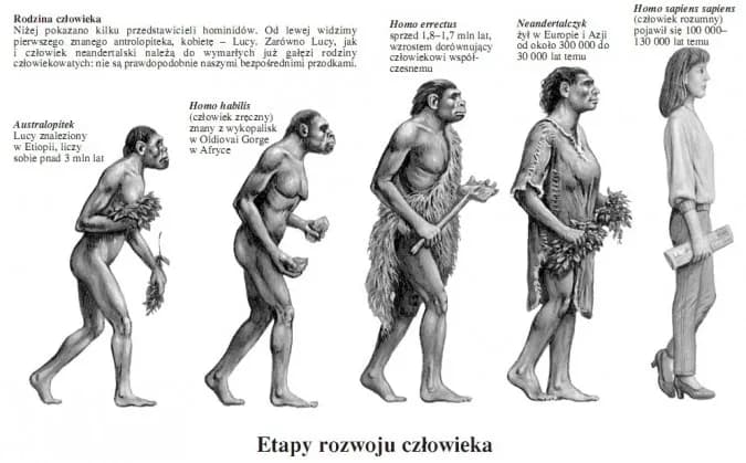 Ewolucja demokracji na przestrzeni wieków: kluczowe zmiany i postacie